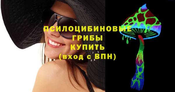 ПСИЛОЦИБИНОВЫЕ ГРИБЫ Баксан