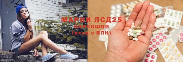 ПСИЛОЦИБИНОВЫЕ ГРИБЫ Баксан